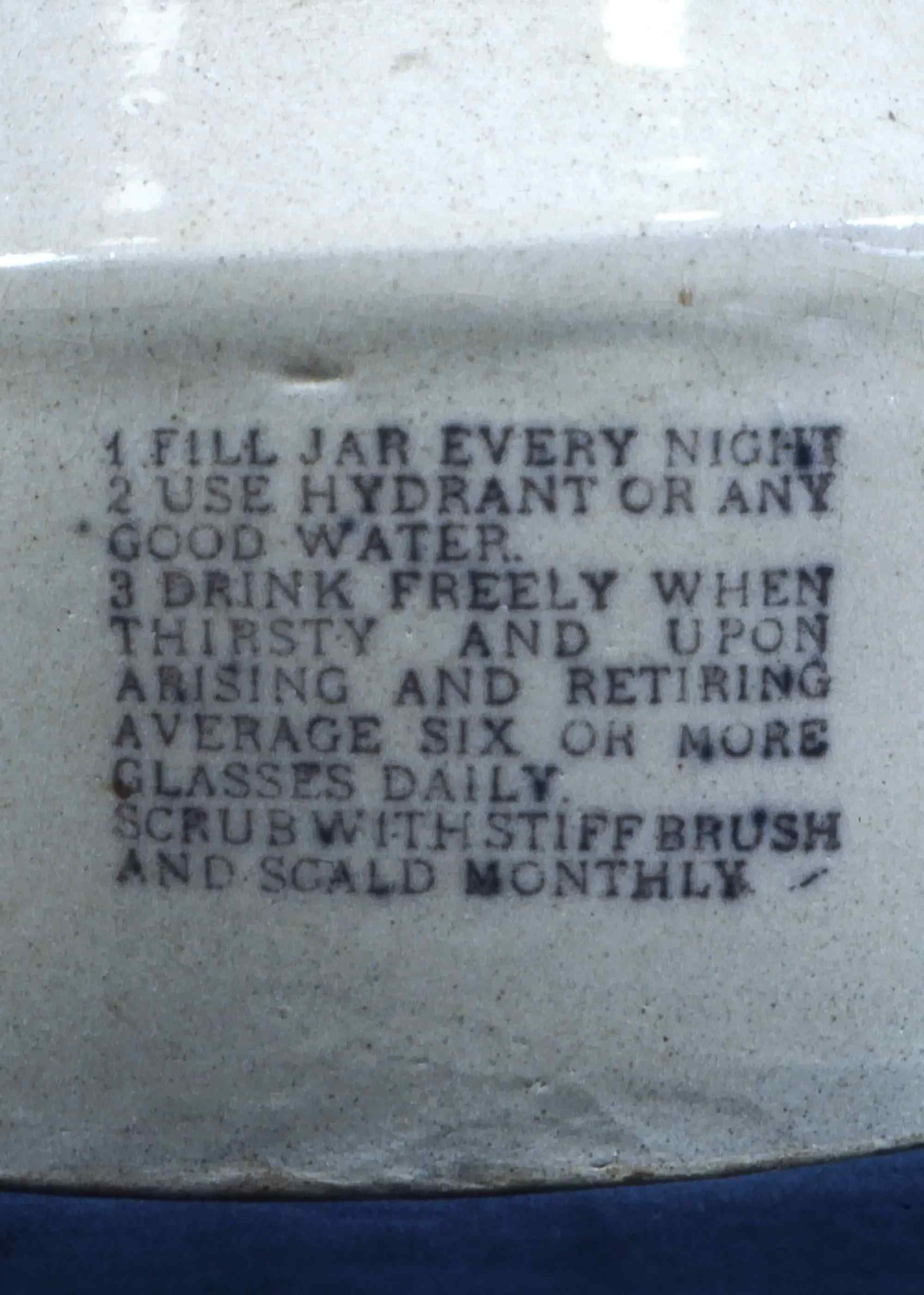 revigator instructions